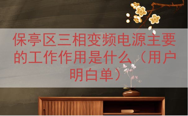 保亭区三相变频电源的工作作用是什么（用户明白单）